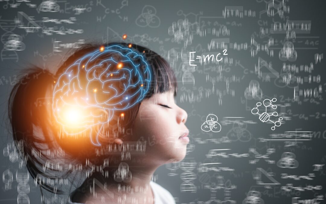 The Transfer of Learning Gain from Working Memory Training