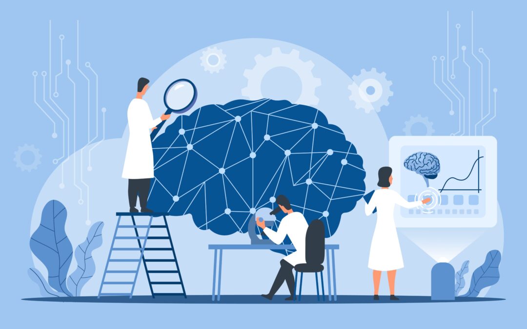 Executive Functions and Working Memory: Similarities, Differences, and Interrelationships